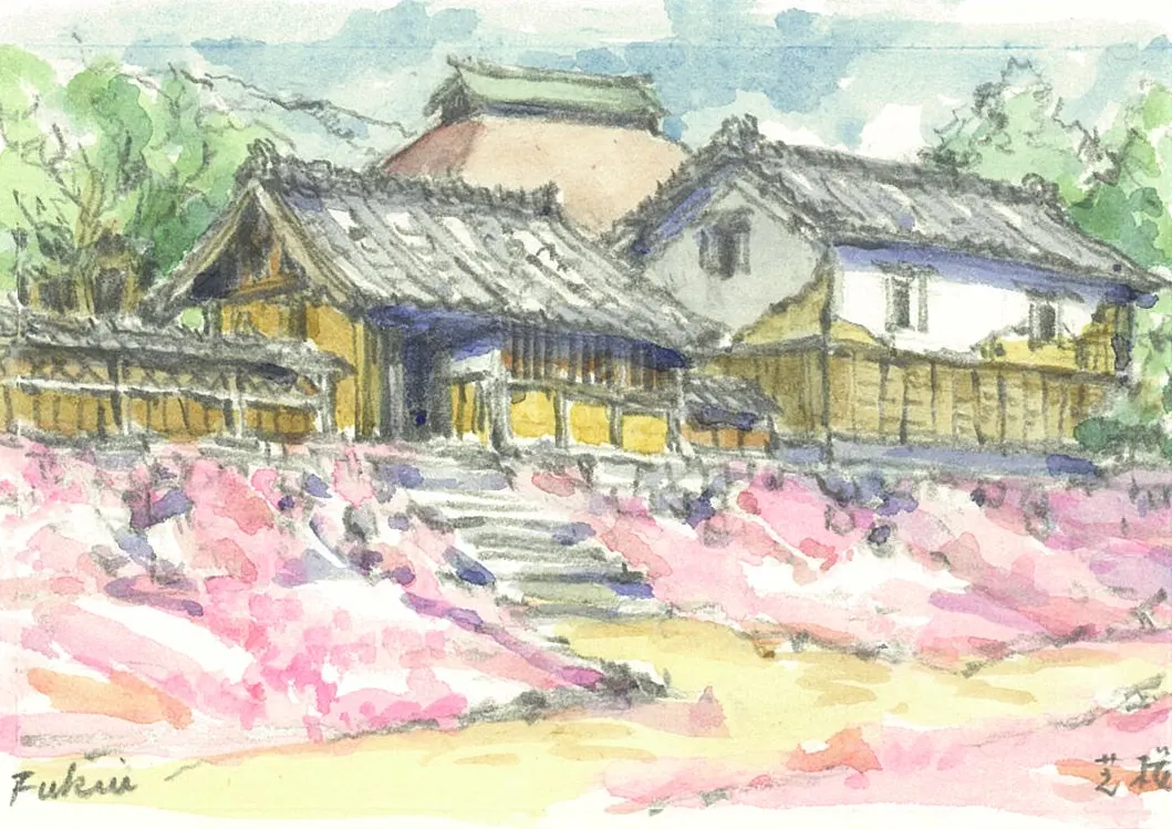 芝桜(りす倶楽部 第107号 2003/05)