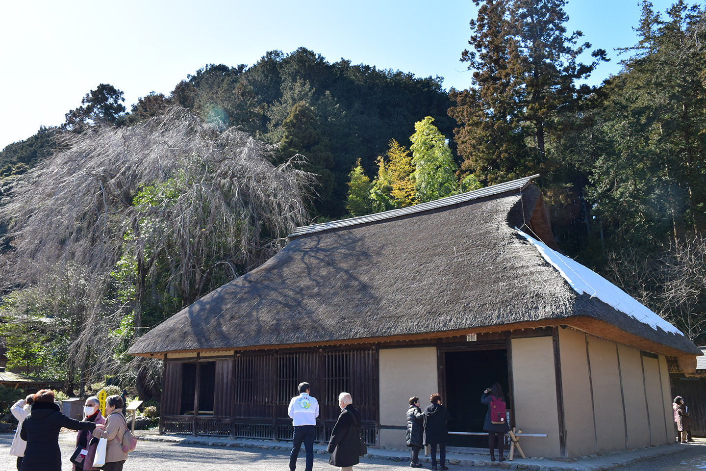 高麗神社参拝・サイボクハムで食事会（もやいの会2月例会）〈埼玉県日高市〉