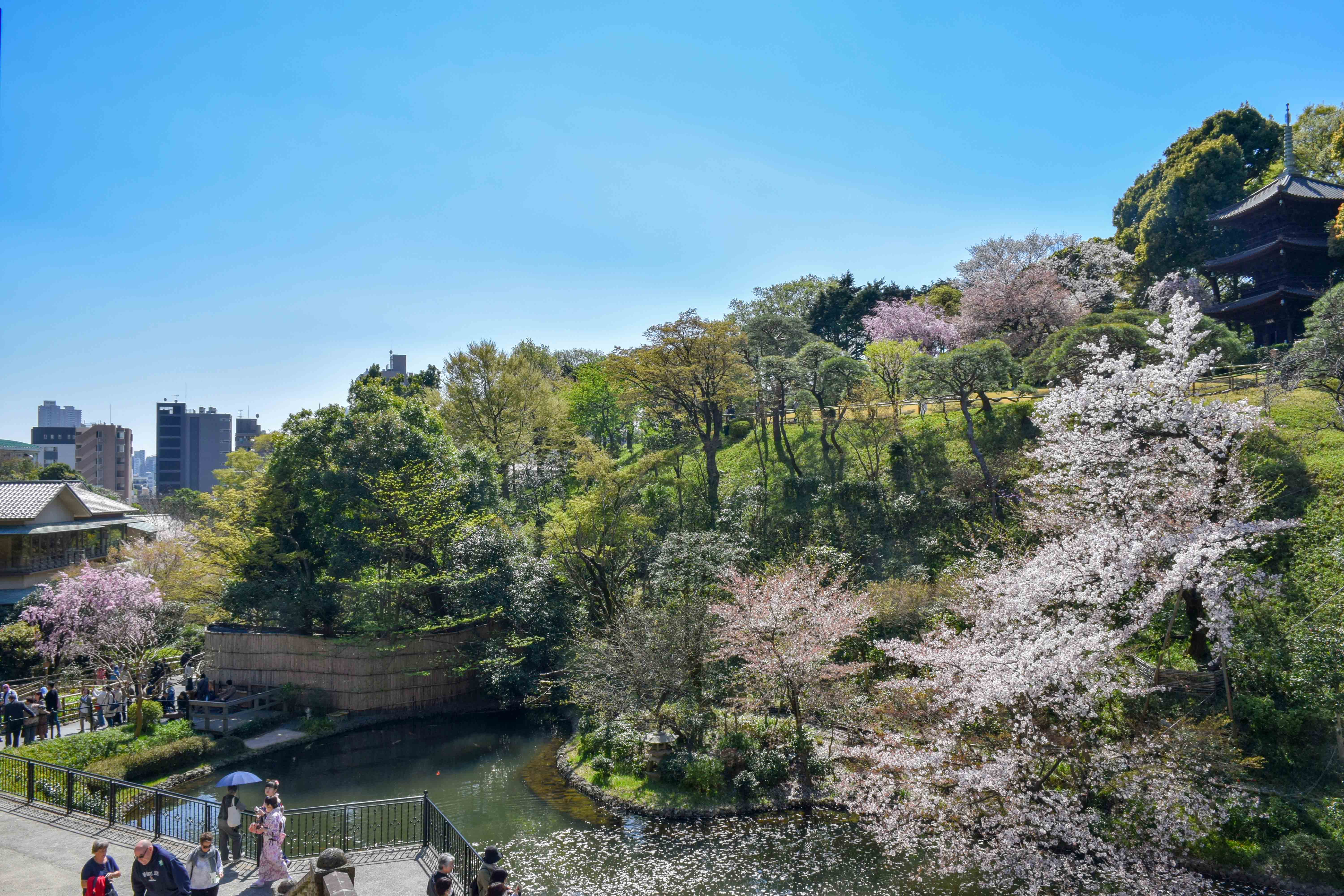 お花見〈東京都文京区・ホテル椿山荘東京〉
