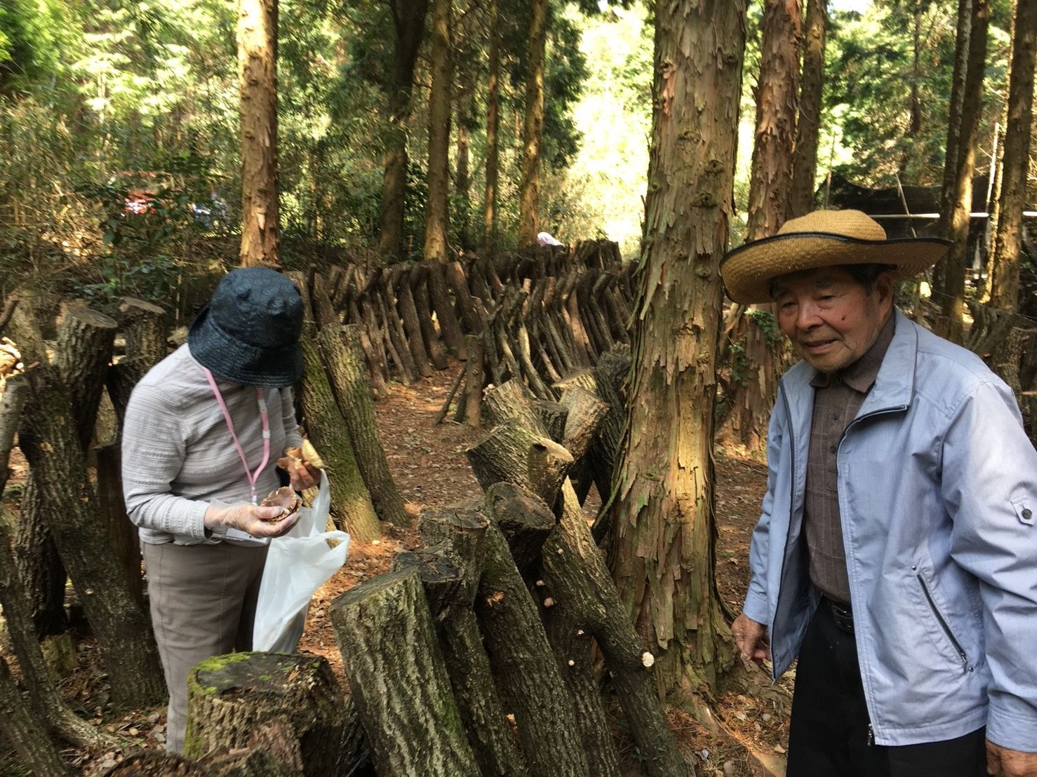 第14回納骨慰霊祭　宇佐神宮参拝・植樹の旅〈功徳院大分本院〉