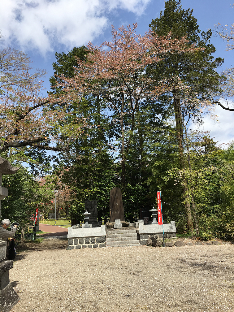 春の例会〈仙台・大町西公園〉