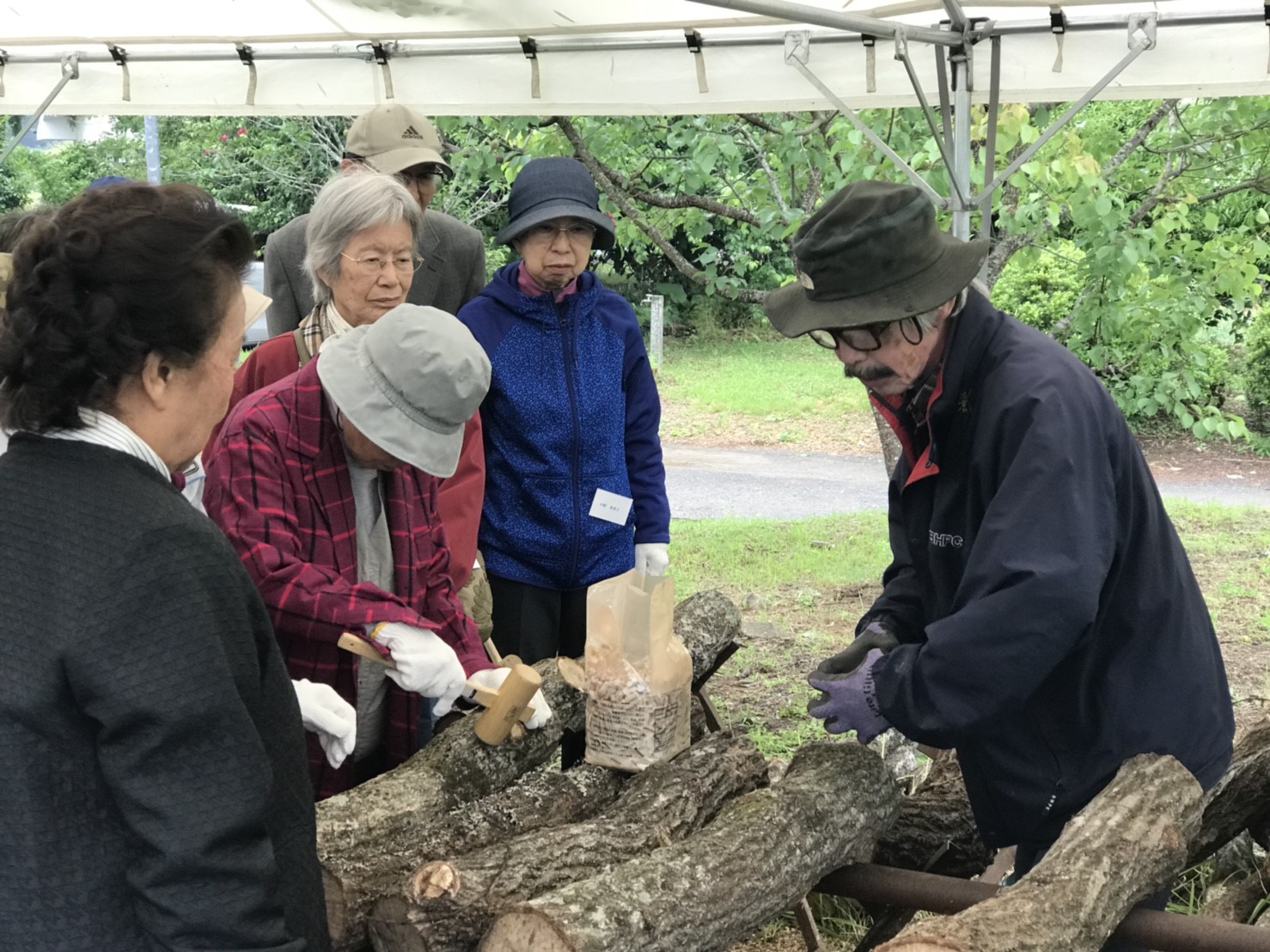 しいたけのコマ打ちと香りの教室（もやいの会5月例会）〈千葉県・吉四六村〉