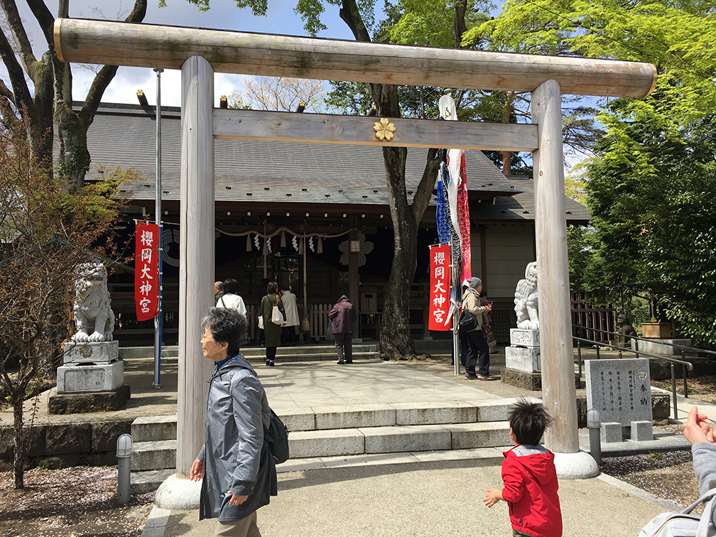 春の例会〈仙台・大町西公園〉