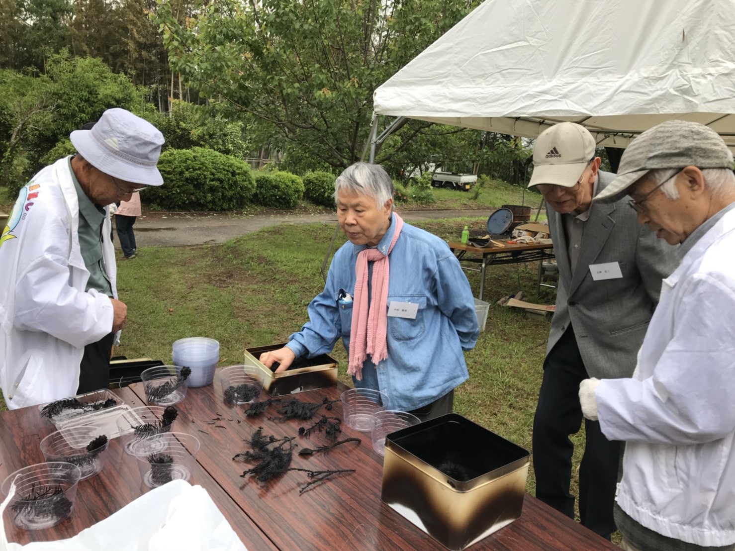 しいたけのコマ打ちと香りの教室（もやいの会5月例会）〈千葉県・吉四六村〉
