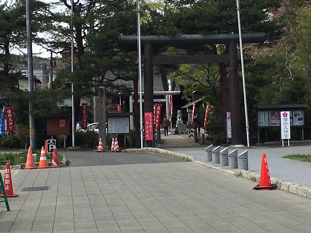 春の例会〈仙台・大町西公園〉