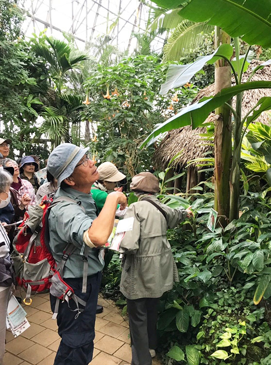 秋の植物観察会（もやいの会11月例会）〈夢の島熱帯植物館〉