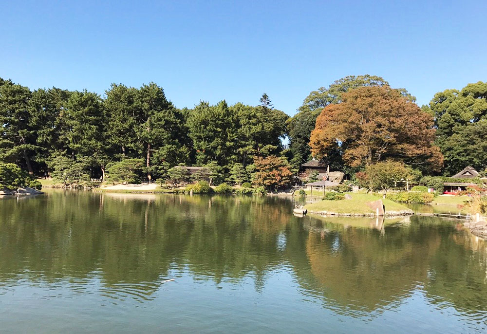 秋の例会〈岡山後楽園・大菊花展〉