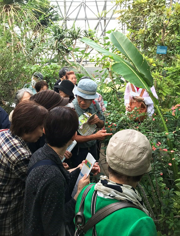 秋の植物観察会（もやいの会11月例会）〈夢の島熱帯植物館〉