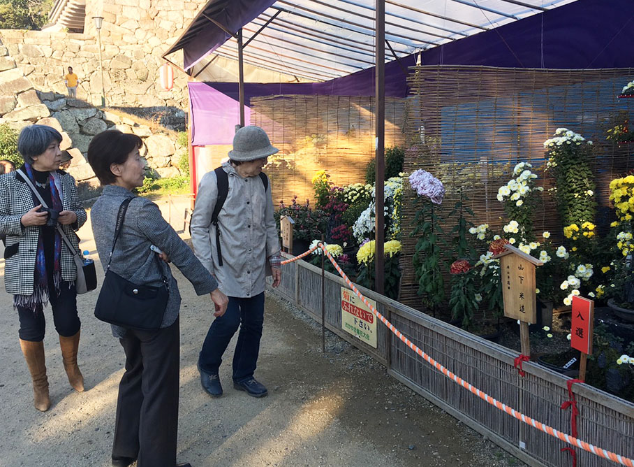 秋の例会〈岡山後楽園・大菊花展〉