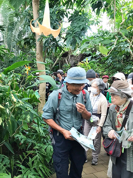 秋の植物観察会（もやいの会11月例会）〈夢の島熱帯植物館〉