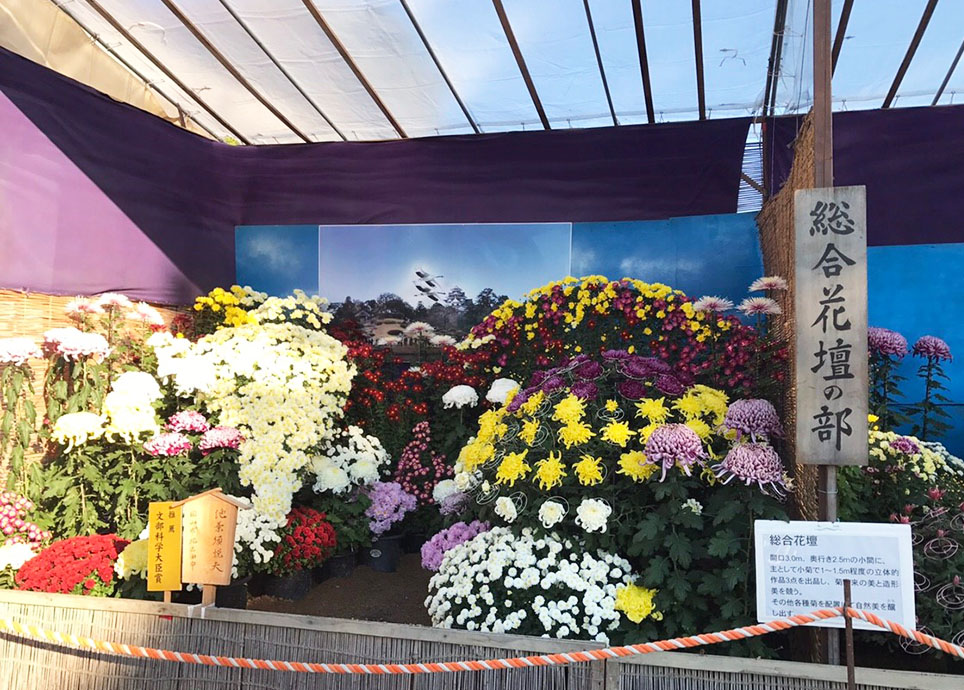 秋の例会〈岡山後楽園・大菊花展〉
