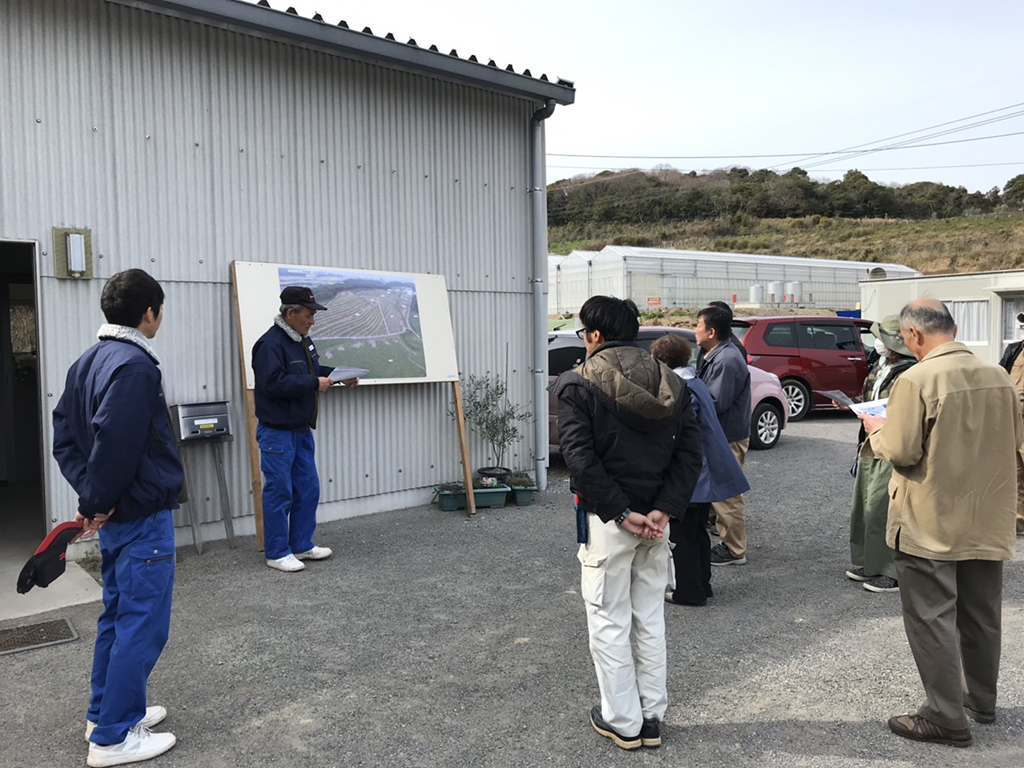 国東オリーブ農園見学〈大分県国東市〉