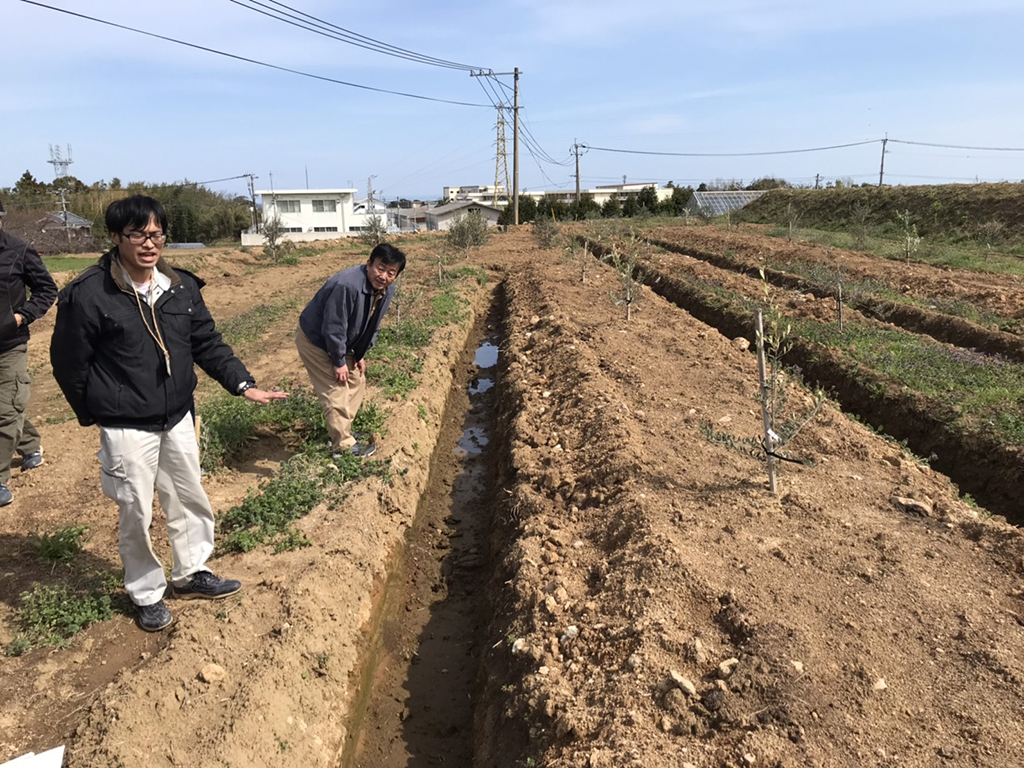 国東オリーブ農園見学〈大分県国東市〉