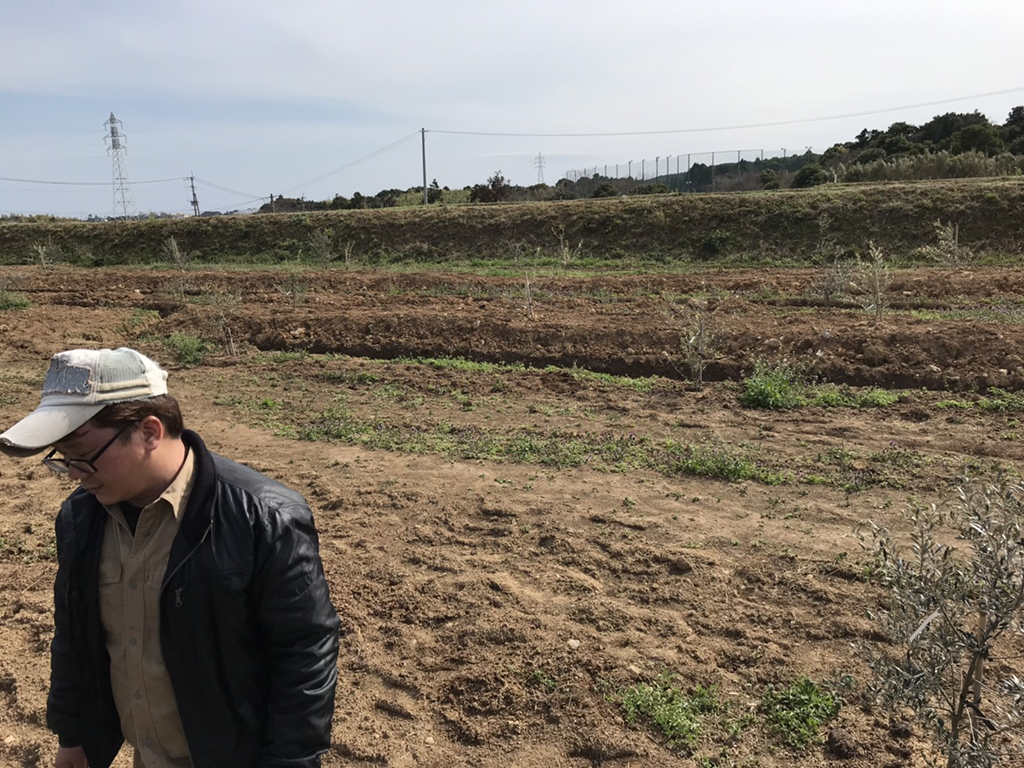 国東オリーブ農園見学〈大分県国東市〉
