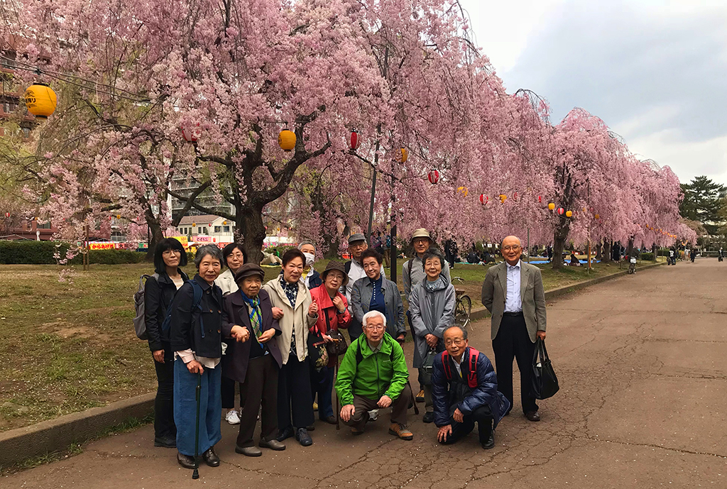 お花見・昼食会〈榴岡公園・ITAGAKI TBCハウジング店〉
