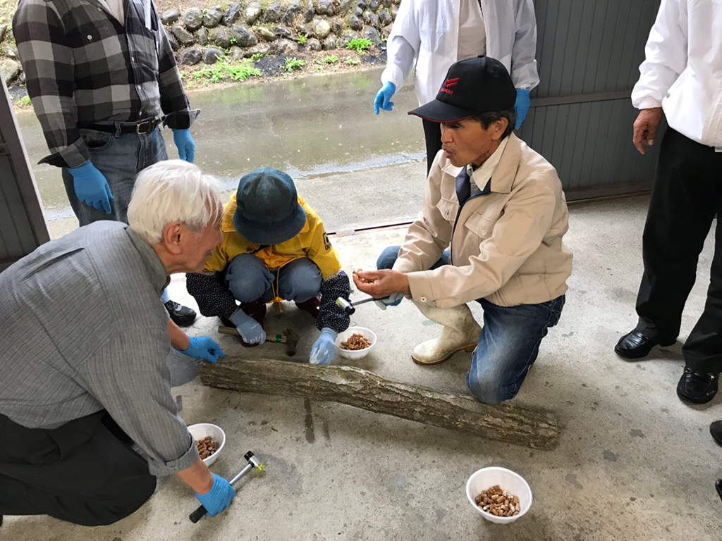 大分コマ打ち〈大分県・大分市〉