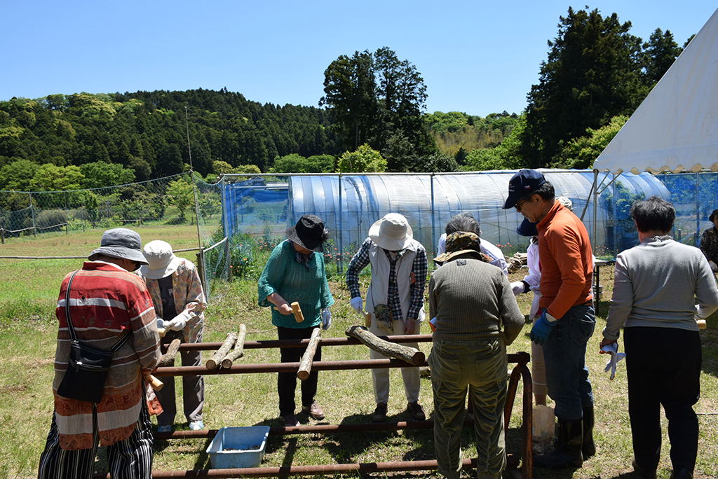 しいたけのコマ打ちと香りの教室（もやいの会5月例会）〈千葉県・吉四六村〉