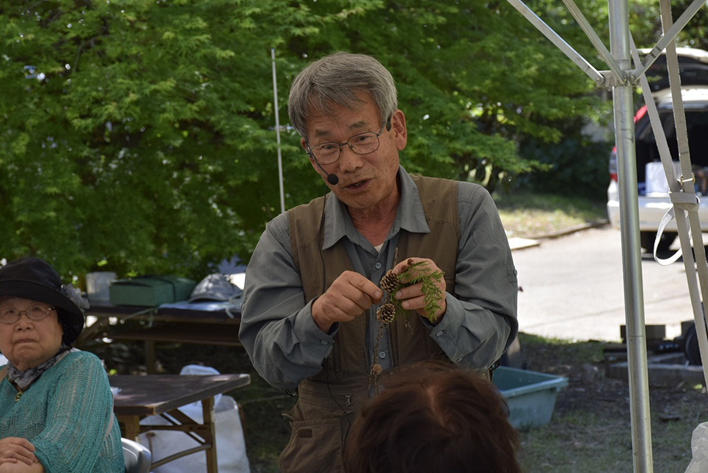 しいたけのコマ打ちと香りの教室（もやいの会5月例会）〈千葉県・吉四六村〉