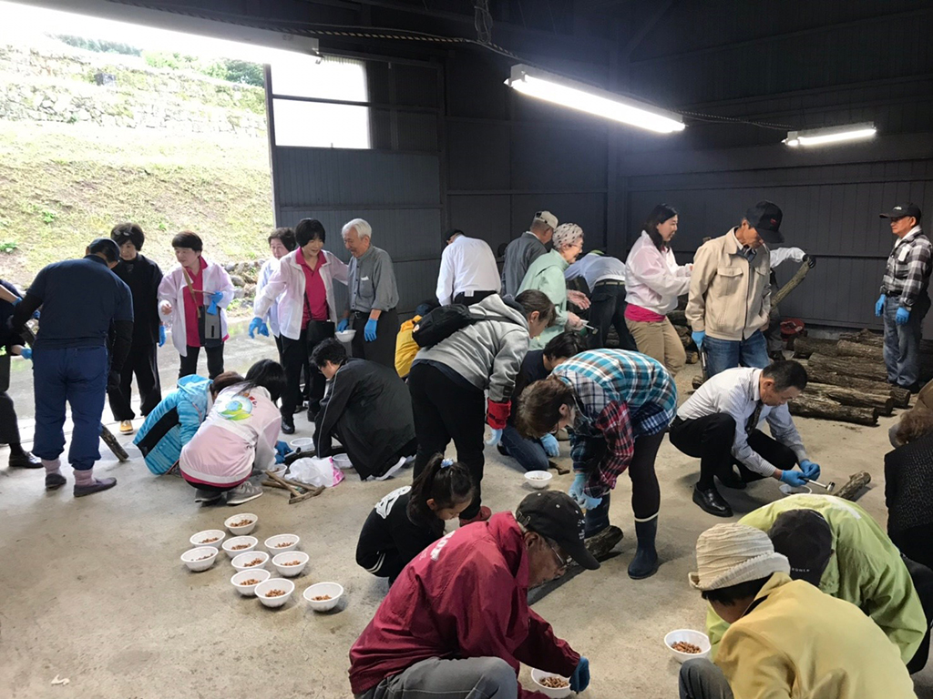 大分コマ打ち〈大分県・大分市〉