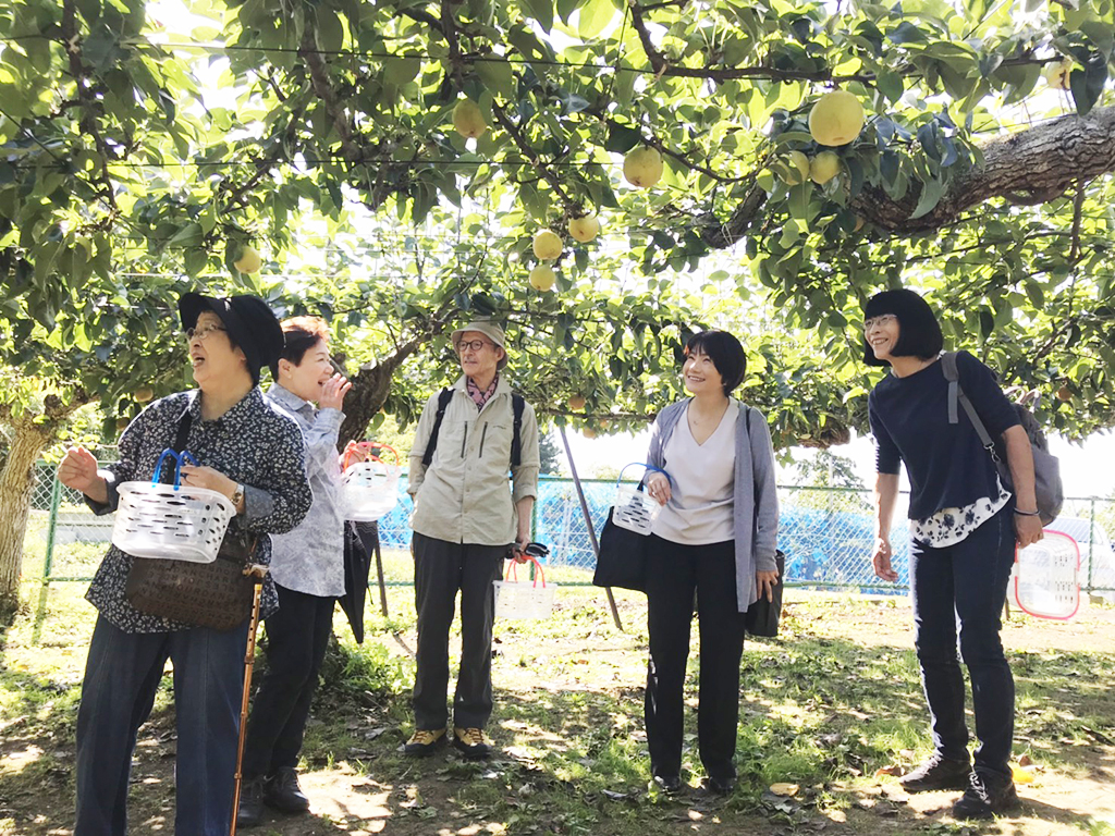 秋の例会〈利府町観光協会観光梨園〉