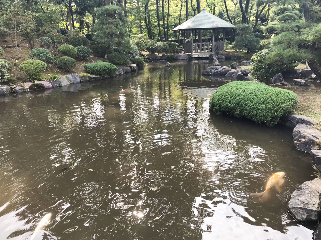 西東京ブランチ 秋の例会〈彩翔亭・所沢航空記念公園〉