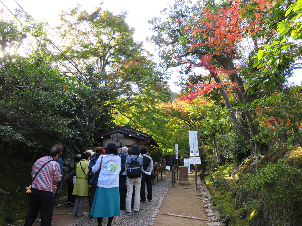 秋の例会〈常寂光寺での紅葉狩りとお食事会〉