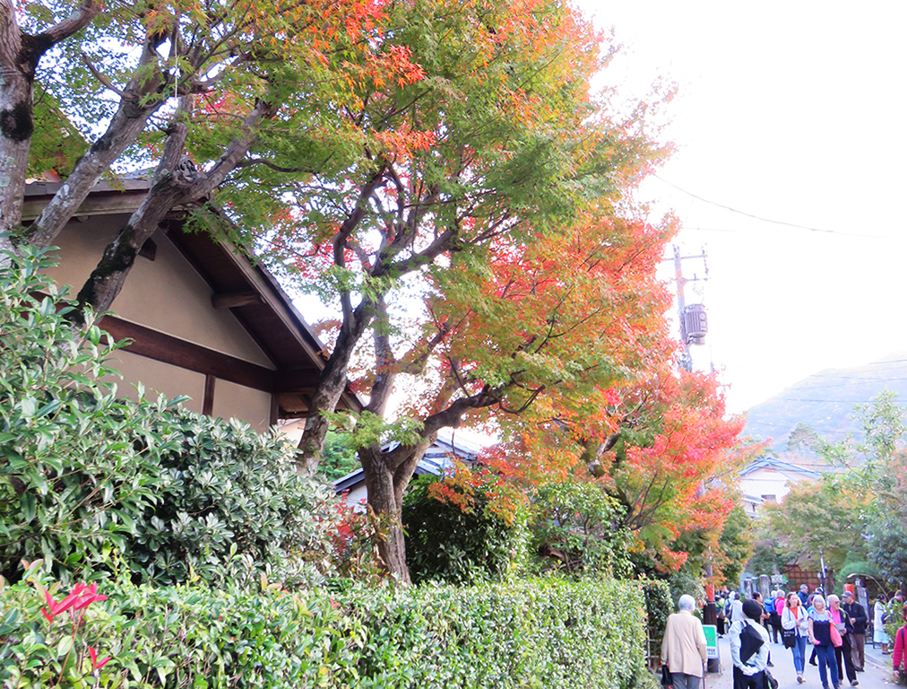 秋の例会〈常寂光寺での紅葉狩りとお食事会〉