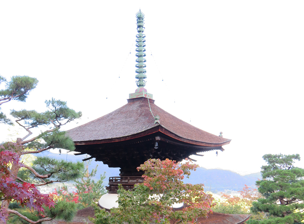 秋の例会〈常寂光寺での紅葉狩りとお食事会〉