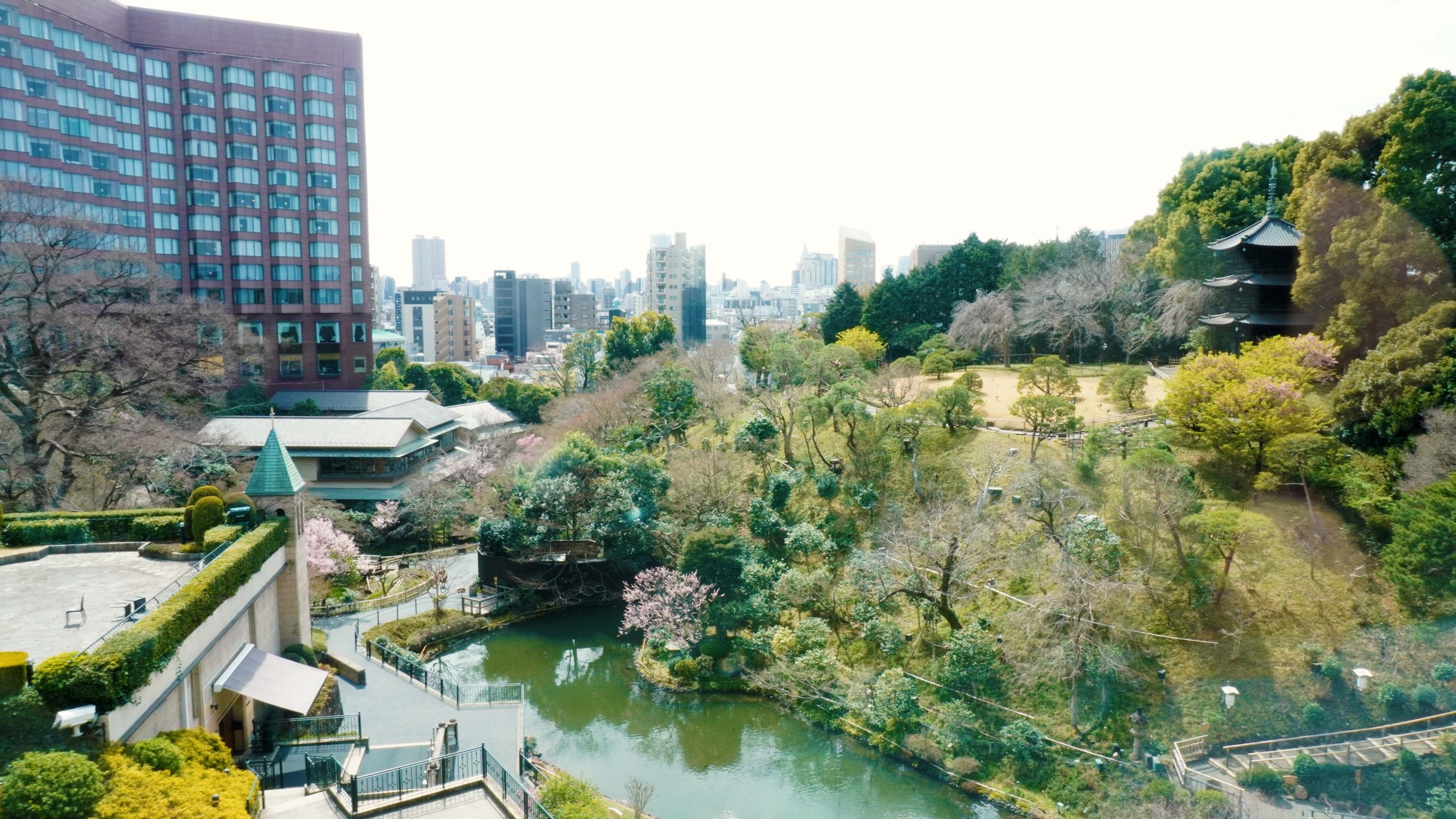 お花見会を開催しました〈もやいの会・NPOりすシステム主催・椿山荘〉